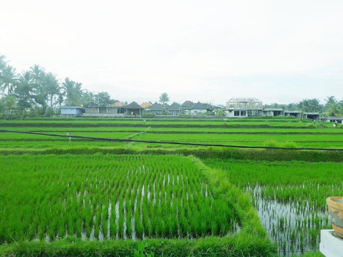 Tantra House Ubud Екстериор снимка